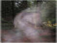 misty looking face in front of a tree trunk